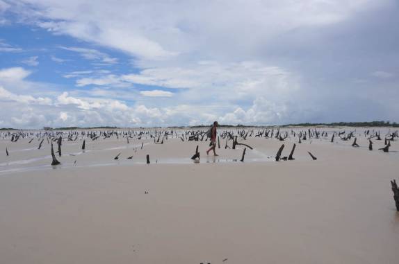 Atravessando mangue seco no caminho para o Farol de São João, nas Reentrâncias Maranhenses - MA